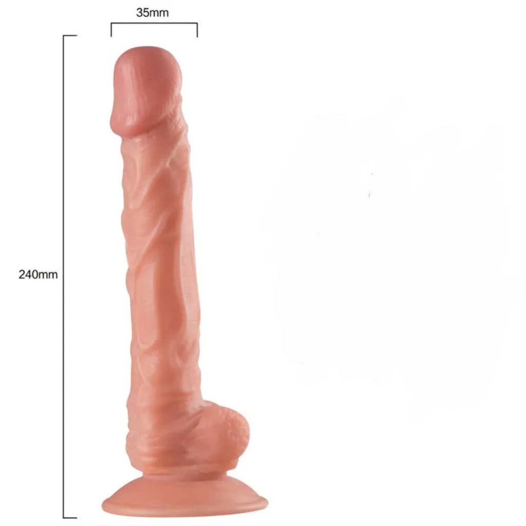 WhatsApp Image 2026-03-12 at 12.12.34 PM.webp