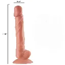 WhatsApp Image 2026-03-12 at 12.12.34 PM.webp