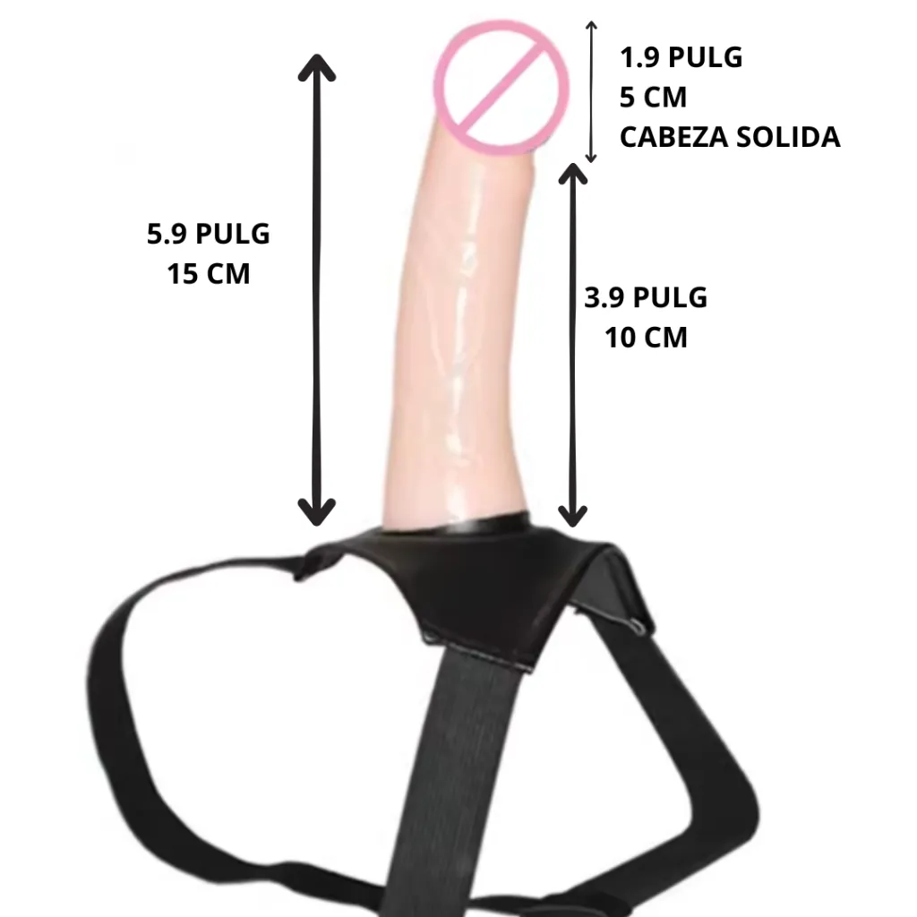 8.5 pulg 21 Cm (2).webp