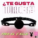 Bdsm Mordaza Bucal  0016